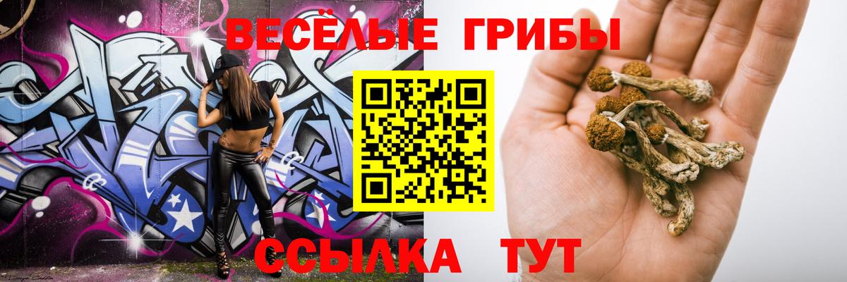 Галлюциногенные грибы прущие грибы  Вход с VPN  Осинники 